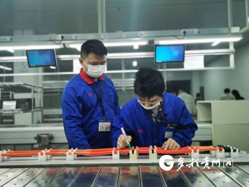 比亞迪貴陽弗迪動力高壓電氣工廠首批線束產品成功下線，加速高低壓電氣產業布局